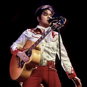 Anpassad Elvis-nallebjörnsoutfit (från 1 200)