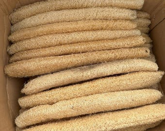 5 éponges luffa naturelles entières - Gourde luffa séchée biologique pour salle de bain et cuisine, épurateur écologique zéro déchet - 5 PCS