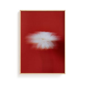 May include: A framed art print showing a blurred white flower on a vivid red backdrop. The image has a soft, dreamlike quality, with the flower's details slightly out of focus. The frame is a natural wood colour.