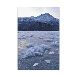 Alaska - "Fozen Garden" - Ice Flowers - Landscape Matte Canvas
