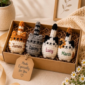 May include: Four small crocheted cat figurines in a cardboard gift box. The cats are orange striped, gray striped, black and white, and calico, each with a name embroidered on the front: James, Danny, Lucy, and March. A tag reads Made Especially for You.
