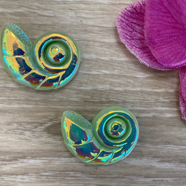 Flat Spiral Shells Etsy