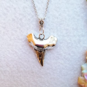 Shark Tooth Necklace