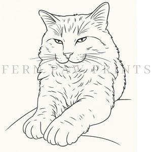 May include: A black and white line drawing of a cat with long fur, sitting and looking forward. The cat's eyes are narrowed, and the text "FERN PAW PRINTS" is printed in a light gray color.