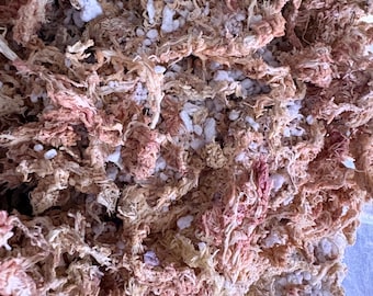 PREMIUM Carnivorous Plant Substrate – Chilean Sphagnum Moss & Perlite Mix (Choose Size Quart or gallon