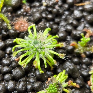 May include: A rustic wooden sign with the text "Welcome to our home" in white lettering. The sign features a distressed finish and a simple, inviting design, perfect for entryway decor.