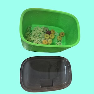 May include: A green plastic container with a dark brown lid. Inside the container are noodles and colorful cereal pieces. The container is on a light blue background.