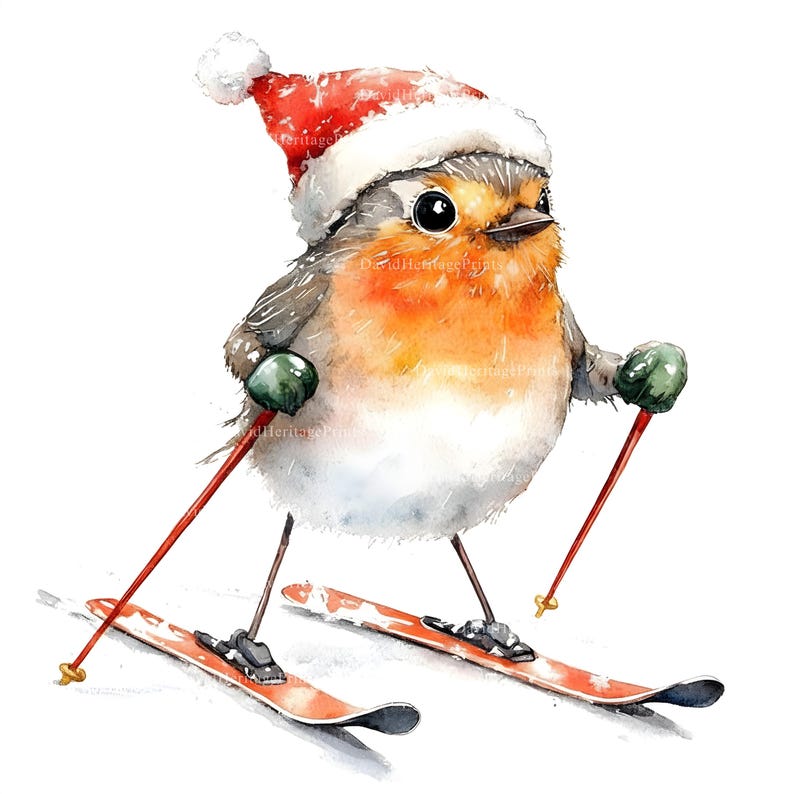 Skiing Robin Clipart Bundle, Watercolor Christmas Bird (digital ...
