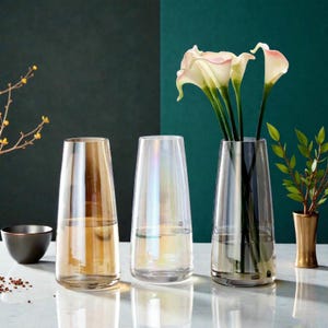 May include: Three glass vases of varying colors, each holding water. The vase on the left is amber, the middle one is iridescent, and the right one is clear with flowers. The vases are on a reflective surface.