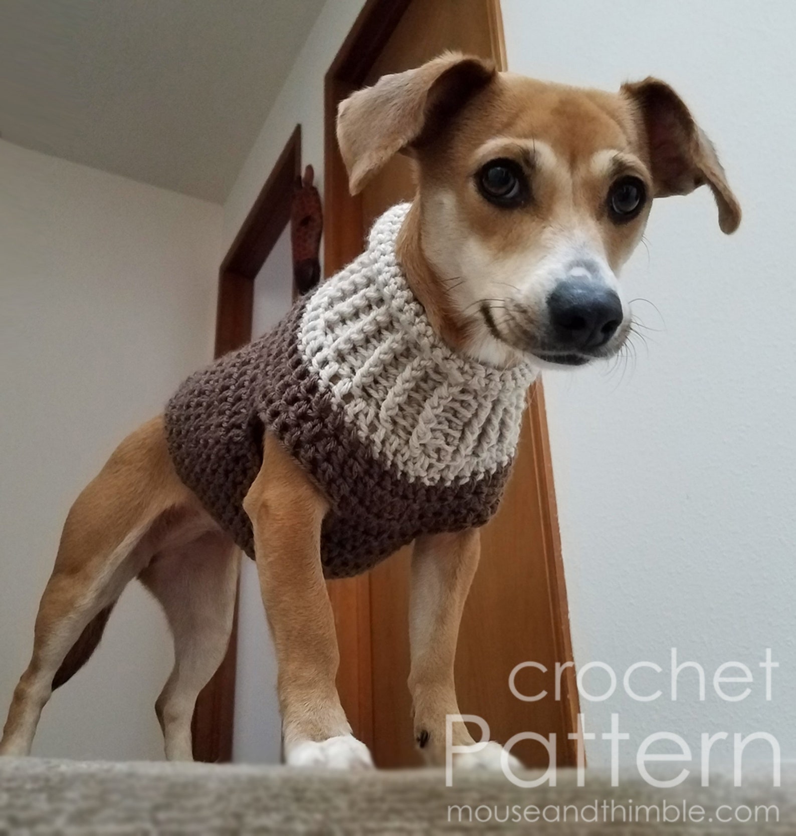 Easy Dog Sweater Crochet PATTERN Seamless Earhart Bomber Etsy