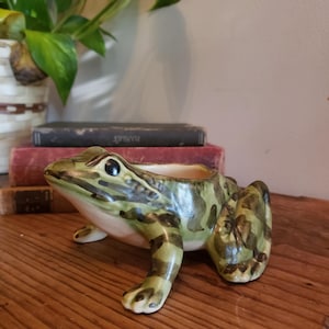 Può includere: Un vaso in ceramica a forma di rana con finitura lucida e motivi mimetici maculati verdi e marroni. La rana è raffigurata in posizione seduta con la testa leggermente girata verso sinistra, mostrando una parte inferiore liscia color crema.