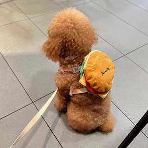 May include: A brown poodle wearing a tan harness and leash, with a burger-shaped backpack. The backpack has a yellow bun, green lettuce, red tomato, and a yellow cheese slice. The text "Paws and Joy" is printed on the burger.