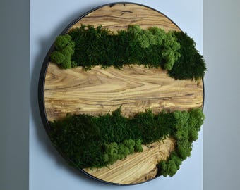 Handmade Olive Wood & Preserved Moss Wall Art, Round Metal Frame Nature Decor, Modern Statement Piece