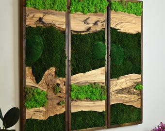 Olive Wood & Preserved Moss Wall Art, Handmade Biophilic Nature Panel, Vertical Farmhouse Entry Decor