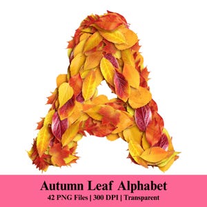 Puede incluir: La letra A está formada por una densa disposición de hojas de otoño en tonos vibrantes de amarillo, naranja y rojo. Debajo de la letra, el texto dice: Autumn Leaf Alphabet, 42 PNG Files | 300 DPI | Transparent, sobre un fondo rosa.