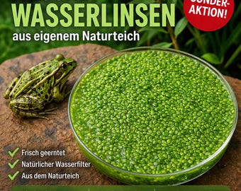 Frische Wasserlinsen  1 Schale (9 cm) aus eigenem Naturteich | Aquarienpflanzen | Teichpflanzen | Duckweed