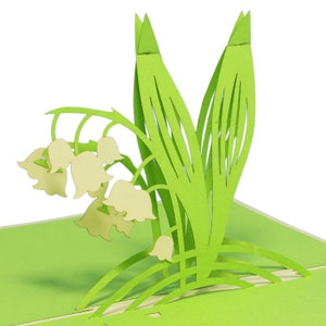 LIN17144, LINPopUp®, Pop Up Karte Blumen, Geburtstagskarte, Blumenstrauß, Grußkarten Klappkarten Blumen, Geburtstag, Maiglöckchen, N49