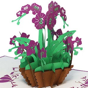LIN17615, LINPopUp®, Pop Up Card Flowers, Birthday Card, Birthday, 3D Greeting Cards Flowers Wellness Voucher, Orchid, N358