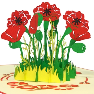 LIN17612, LINPopUp®, POP-Up Karten Blumen, Blumenstrauß, Grußkarten Blumen, Klappkarten Blumen, Pop Up Karte Geburtstag, Mohnblumen, N355