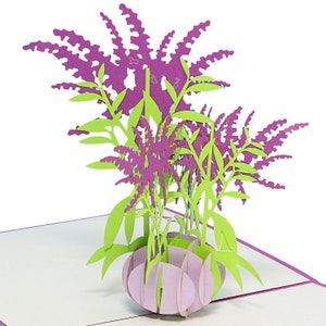 LIN17521, LINPopUp®, POP Up Cards Flowers, Pop Up Card Bouquet, Greeting Cards Flowers, Folded Cards Flowers, Birthday, Lavender, N274