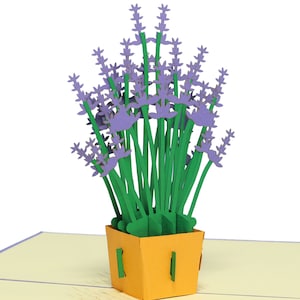 LIN17218, LINPopUp®, Pop Up 3D Karte, Geburtstagskarte, Muttertagskarte, N51