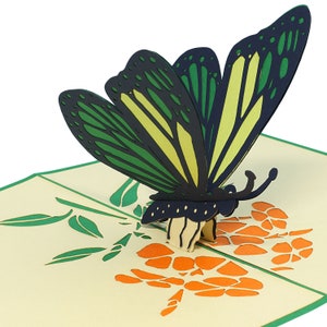 LIN17657, LINPoUp®, Biglietto pop-up Farfalla, Compleanno, Carte 3D Natura, Biglietti d'auguri, Biglietti Festa della mamma, Farfalla, Verde, N383