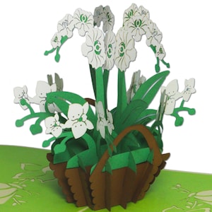 LIN17614, LINPopUp®, Pop Up Cartes Fleur, Anniversaire, Carte d'anniversaire, 3D, Bon Wellness, Orchidée, N357