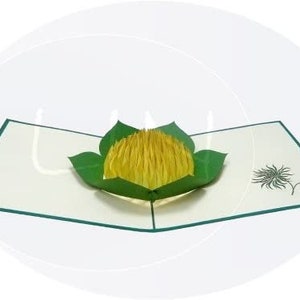 LIN17235, LINPopUp®, POP Up Cards Flowers, Pop Up Card Bouquet, Greeting Cards Flowers, Folded Cards Flowers, Birthday, Water Lily, N43