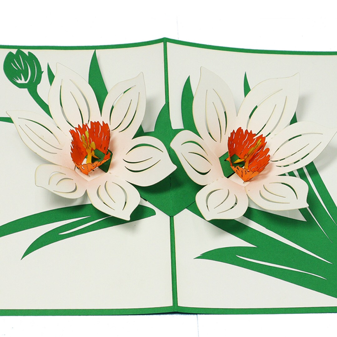 LIN17749, Linpopup®, POP UP Card - Blossoms - Paper Flowers - Garden ...