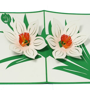 LIN17749, LINPopUp®, POP UP Card - Blossoms - Paper Flowers - Garden - 3D Birthday Card - Greeting Card with Flowers, Gift Cards, N708