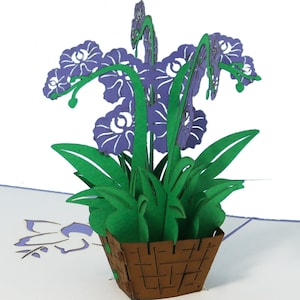 LIN17638, LINPopUp®, Pop Up Card Flowers, POP UP Cards, Birthday Card, 3D Greeting Cards, Farewell Card, Gift Certificate, Orchid, N368