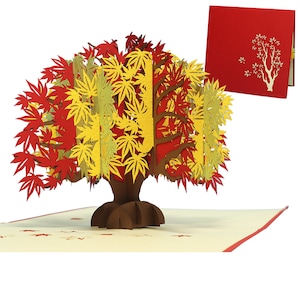 LIN17588, LINPopUp®, POP-UP Kaarten Boom, Pop Up Natuur, Verjaardag, Boom, Begrafeniskaart, Moederdag kaarten, Cadeaubon Japan Maple, N344
