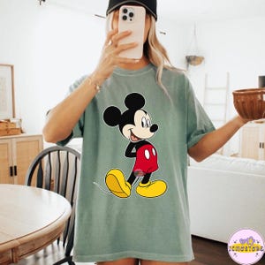 Disney Musse Pigg och vänner traditionellt porträtt PNG, Disneyland familjematchningströja, Magic Kingdom-tröja, WDW Epcot temapark-tröja bild 3