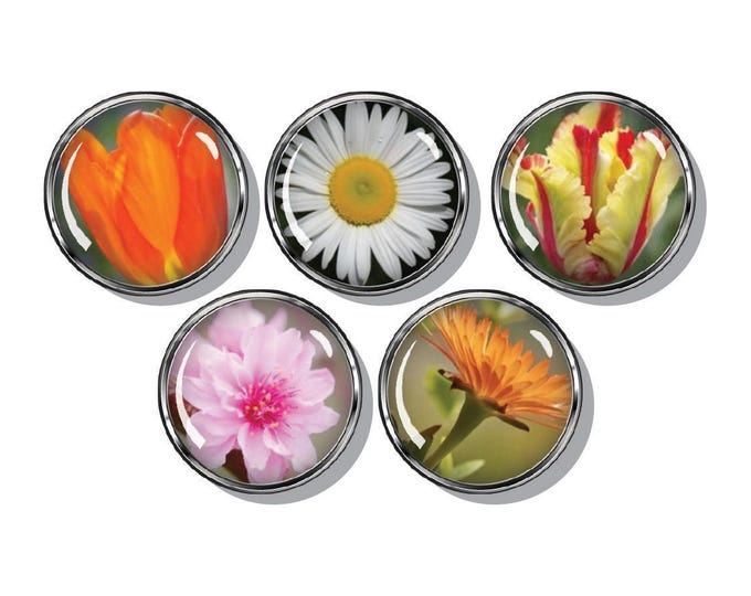 Spring and Summer flowers set of five magnets