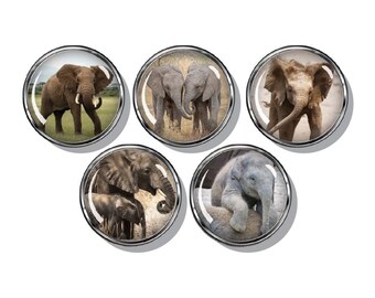 Elephants, baby elephant, set of five magnets