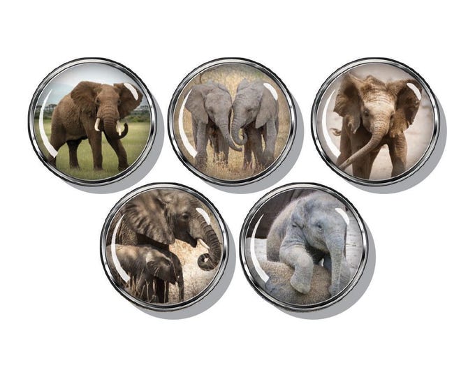 Elephants, baby elephant, set of five magnets
