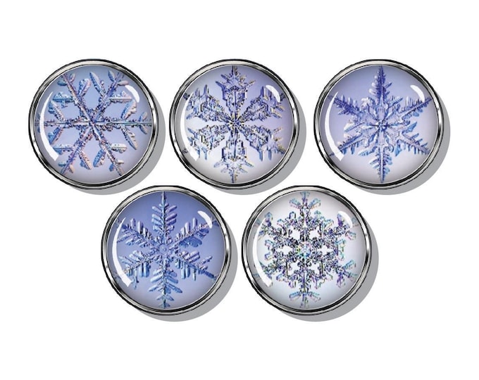 Snowflakes  magnet set