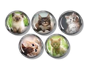 Cats and kitten's magnet set of five