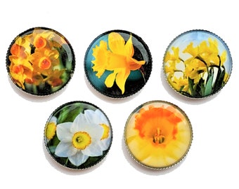 Daffodil magnets, beautiful yellow flowers, five pieces in each set.