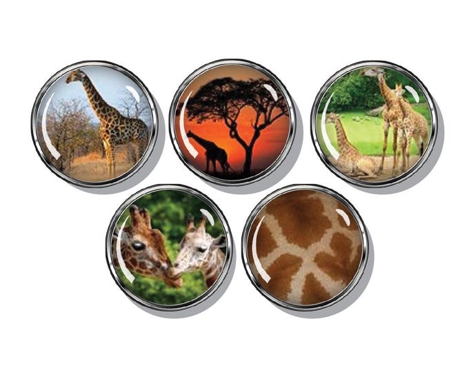 Giraffe fridge magnets, African safari animals, set of five