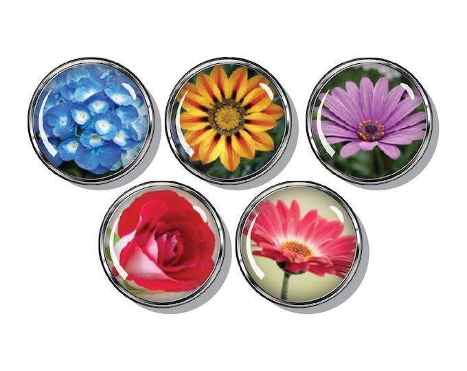 Flowers Colorful magnet set