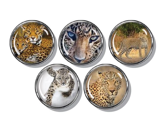 Cheetah magnets, leopard print, fridge magnets,  Wild cats, 5 per set