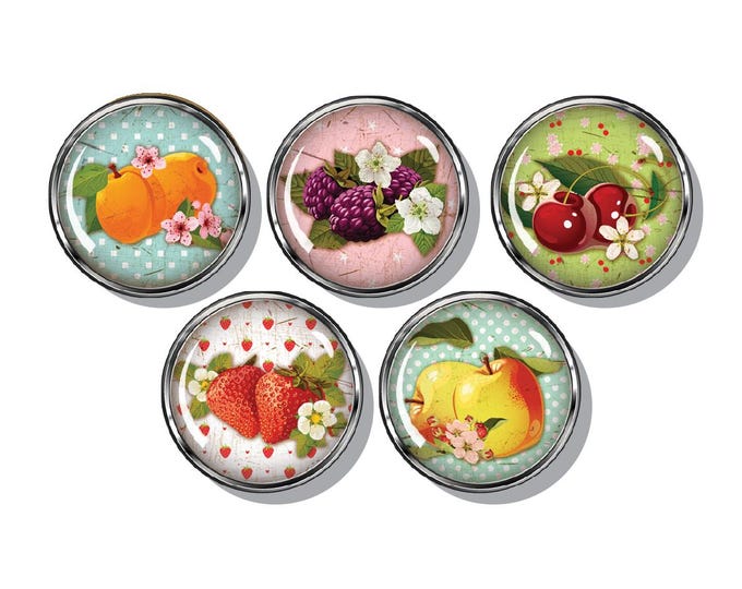 Fruit magnet set, strawberries, pears, peaches, apples, berries.