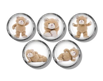 Teddy Bear magnet set
