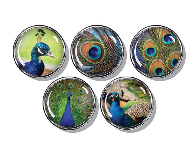 Peacock magnets, Beautiful bird, Peacock feathers, set of five magnets