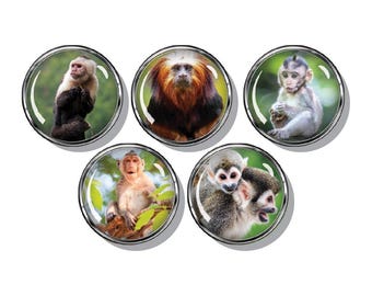 Monkey magnets, set of five magnets,