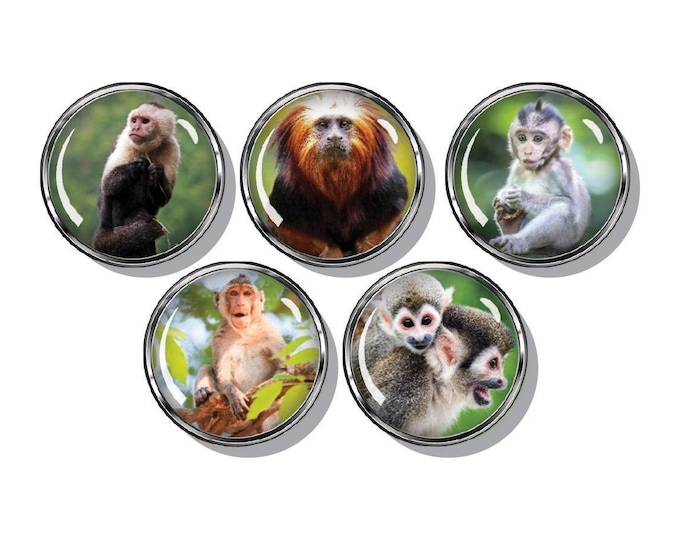 Monkey magnets, set of five magnets,