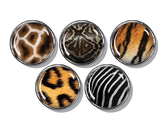 Animal print magnets, snake, giraffe, leopard, zebra, tiger