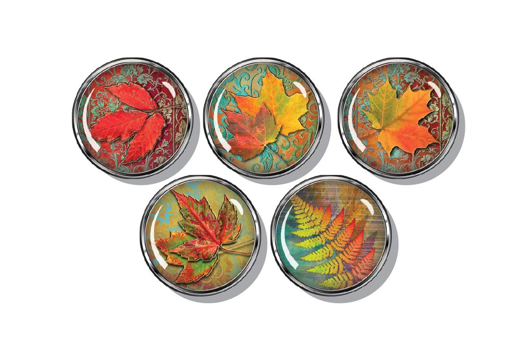 Autumn, Fall Leaves Set of Magnets - Etsy