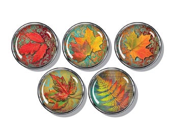 Autumn, fall leaves set of magnets